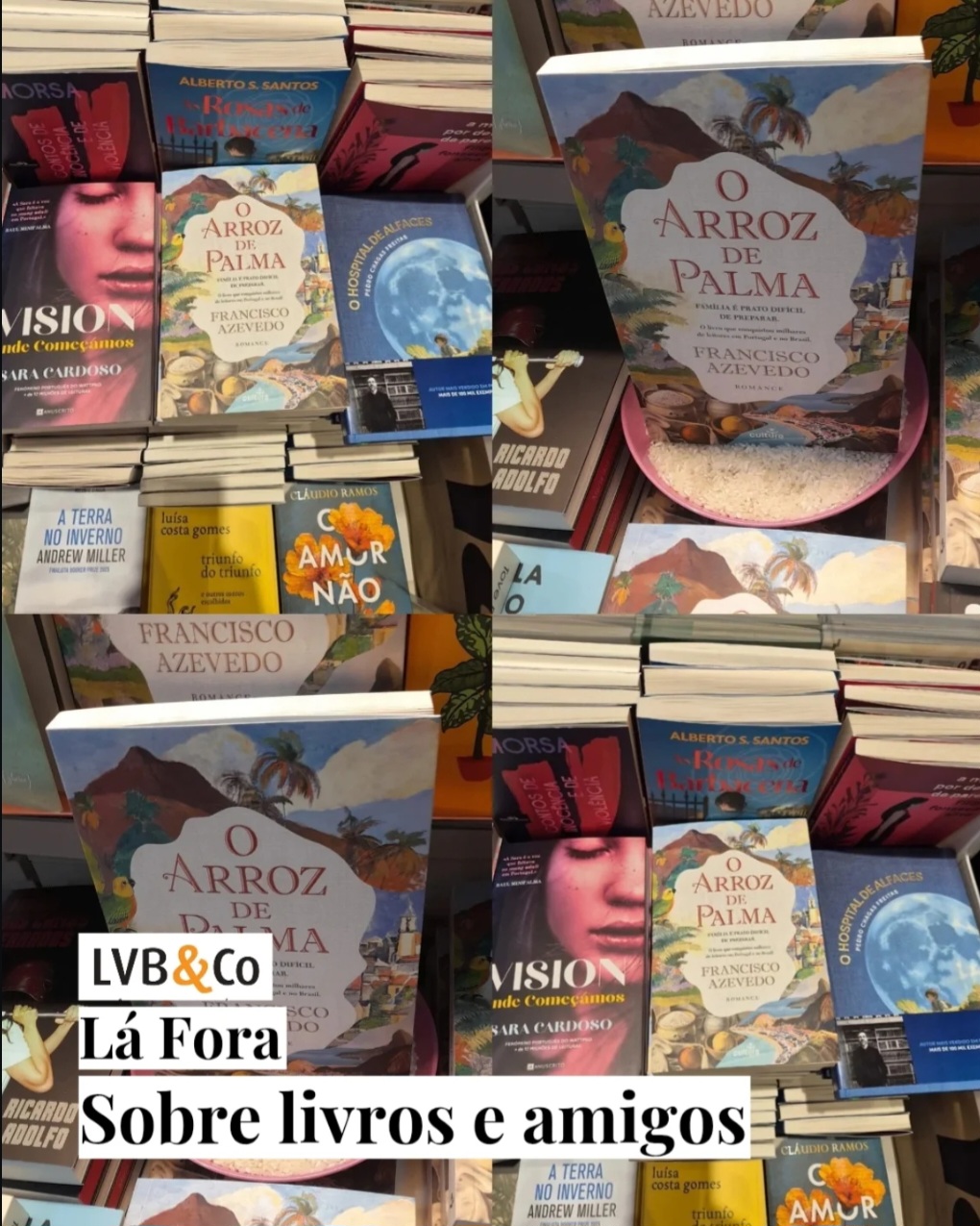 Sobre livros e amigos